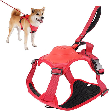 PettyBoo Dog Harness with Retractable Leash