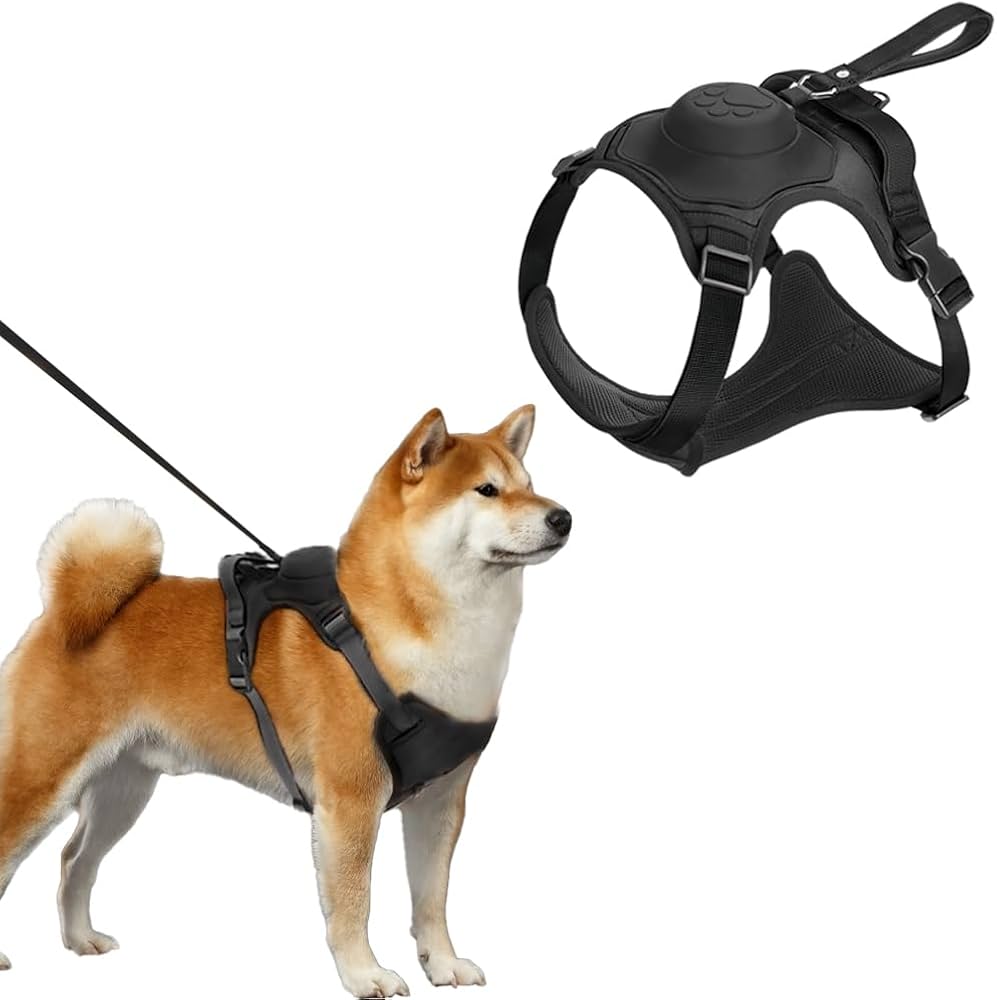 PettyBoo Dog Harness with Retractable Leash