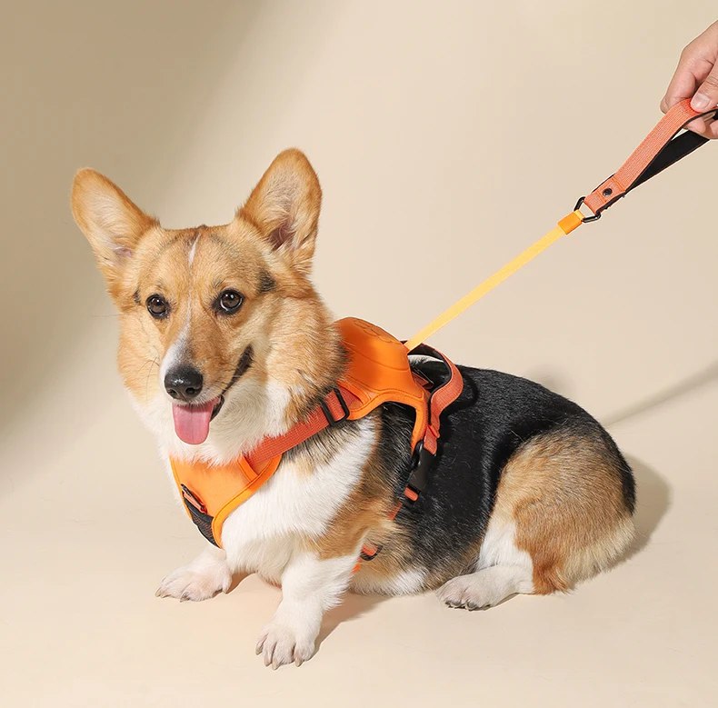 PettyBoo Dog Harness with Retractable Leash